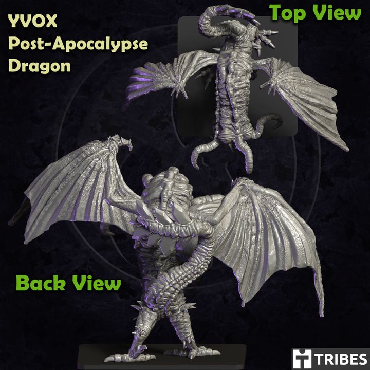 DRAGON FOMULA53㎜X33㎜93a Amazon.com: UGEARS 3D Wooden Puzzles for Adults - Windstorm Dragon